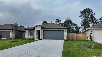 16241 Parish Pointe Ct in Conroe, TX - Building Photo