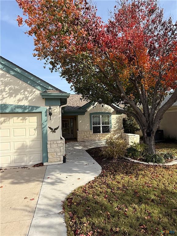 306 Cobalt Cove in Georgetown, TX - Building Photo - Building Photo