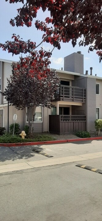 427 W Laurel Dr in Salinas, CA - Building Photo