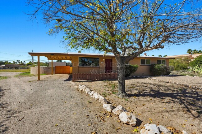 210 S Alandale Pl in Tucson, AZ - Building Photo - Building Photo