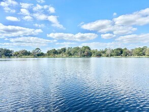 9409 Telfer Run in Orlando, FL - Building Photo - Building Photo