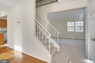 10024 Downeys Wood Ct in Burke, VA - Building Photo