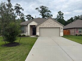 1413 Cantabria Ct in Conroe, TX - Building Photo