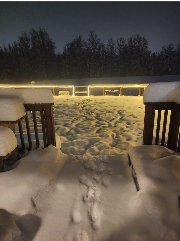 2890 Odsather Cir in Wasilla, AK - Building Photo - Building Photo