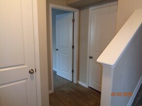7413 Marbled Wood Pt in Colorado Springs, CO - Building Photo - Building Photo