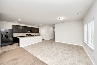 11009 Cathedral Peak Dr in Iowa Colony, TX - Building Photo - Building Photo