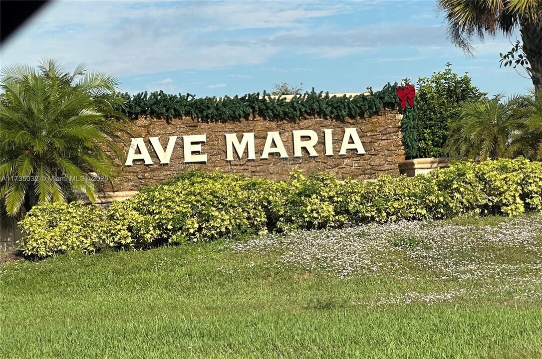 5668 Argento Dr in Ave Maria, FL - Building Photo