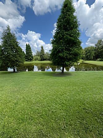 10658 Lake Montauk Dr in Riverview, FL - Building Photo - Building Photo