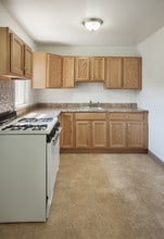 Park Row and New Scotland Gardens Apartments in Albany, NY - Foto de edificio - Building Photo