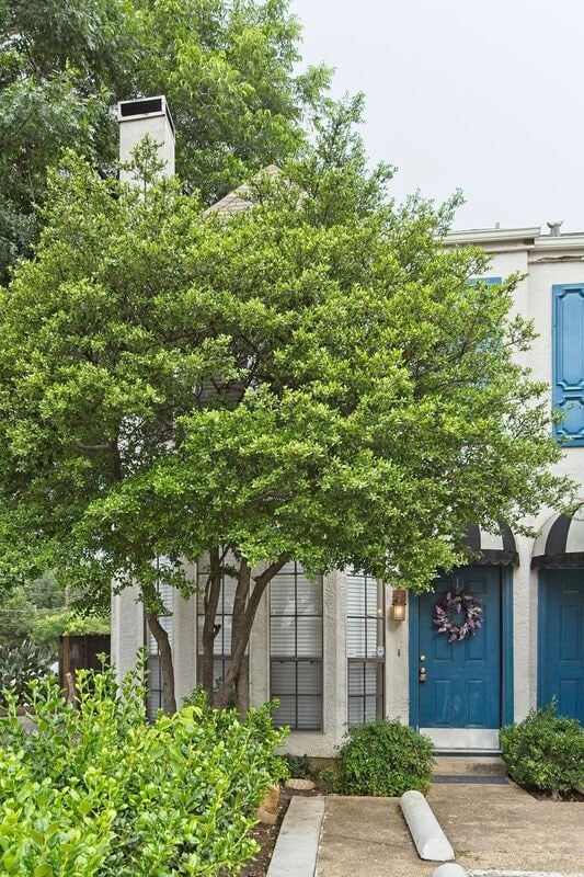 property at 5000 Cedar Springs Rd