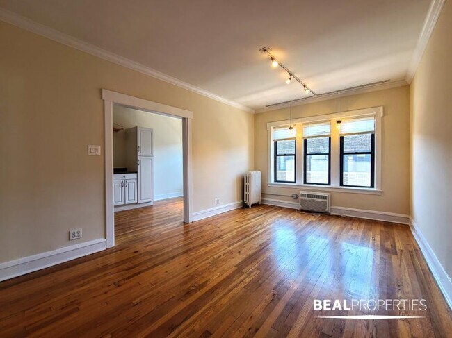 742 W Addison St in Chicago, IL - Building Photo - Building Photo