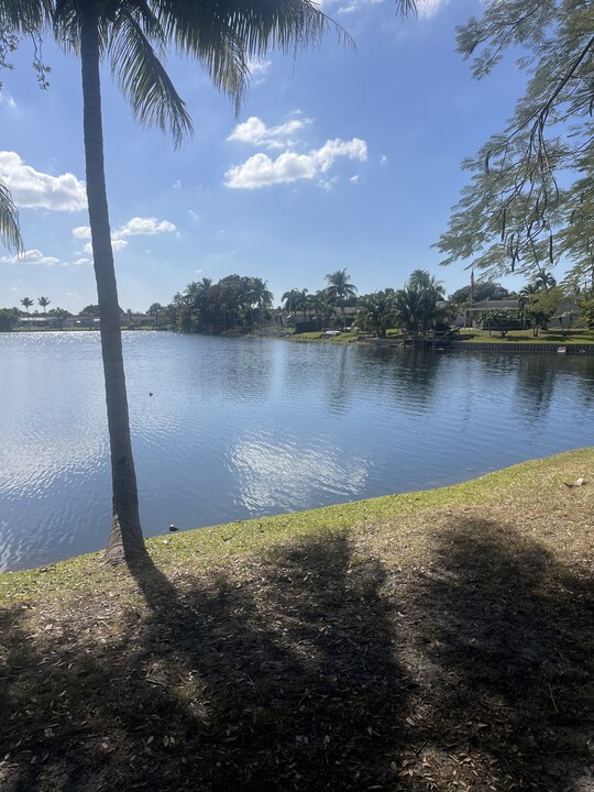 8960 Palm Tree Ln in Pembroke Pines, FL - Building Photo