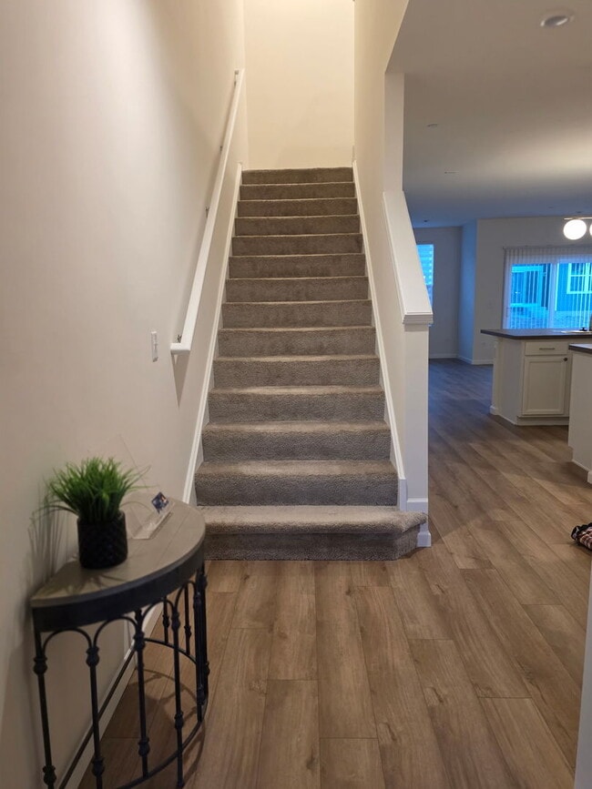 5933 Hawkweed Dr in Naperville, IL - Building Photo - Building Photo