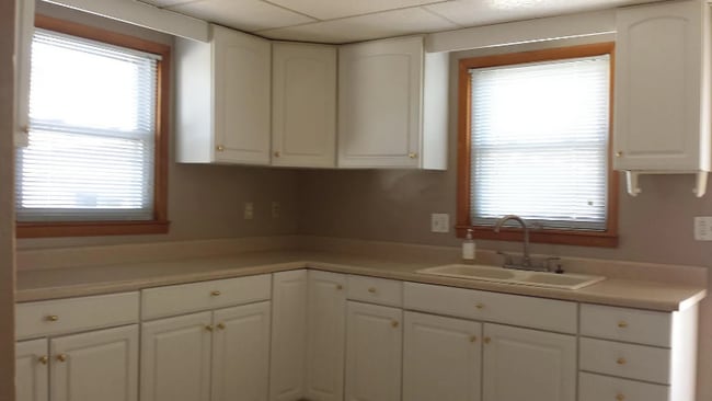 1311 S State St in Lockport, IL - Foto de edificio - Building Photo