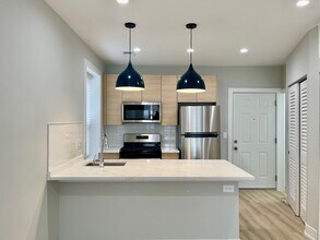 2238 W 24th St in Chicago, IL - Building Photo - Building Photo