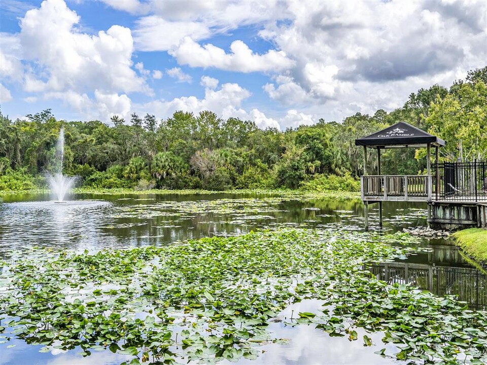 Oak Ramble in Tampa, FL - Building Photo