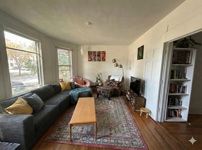 217 N Livingston St in Madison, WI - Building Photo - Building Photo