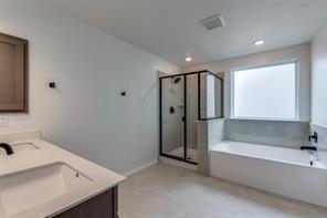 3914 La Contenta Ln in Round Rock, TX - Building Photo - Building Photo