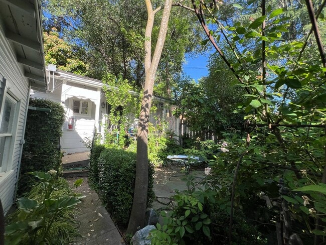 153 N Stewart St in Sonora, CA - Building Photo - Building Photo
