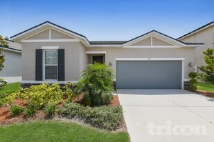 371 Buchannan Dr in Davenport, FL - Building Photo