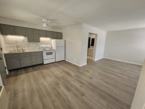 4855 Elm St in Skokie, IL - Foto de edificio - Building Photo