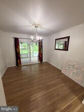 6919 Rolling Rd in West Springfield, VA - Building Photo - Building Photo