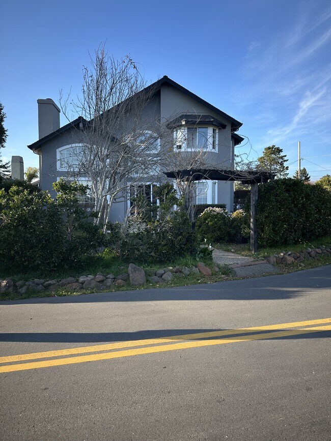 207 Toledo Dr in Aptos, CA - Foto de edificio - Building Photo