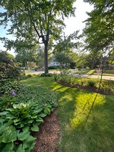 7 Yandow Dr in South Burlington, VT - Building Photo - Building Photo