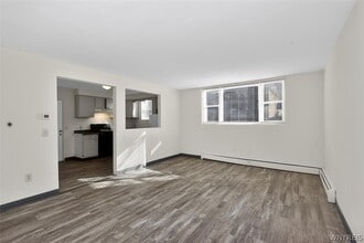 127 Franklin St in Springville, NY - Building Photo - Building Photo