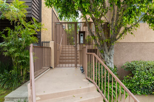 11524 Moorpark St in North Hollywood, CA - Foto de edificio - Building Photo