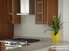 1 Raymond St, Unit D in Boston, MA - Building Photo - Building Photo