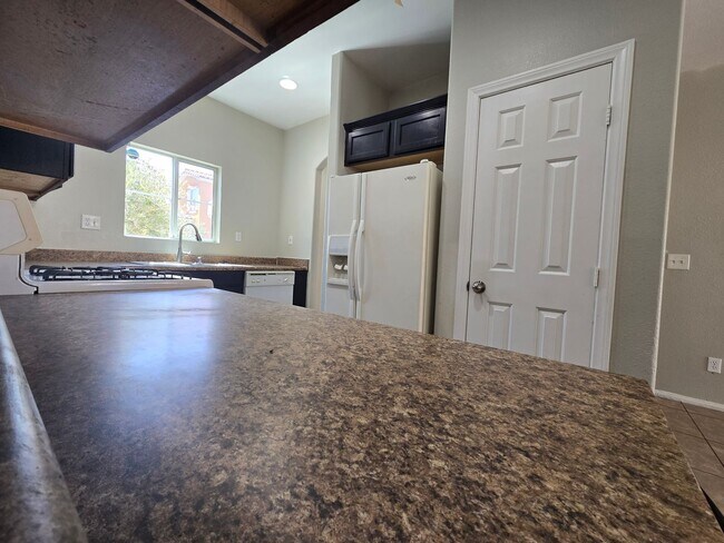 2142 Trebbiano Way in Las Vegas, NV - Building Photo - Building Photo