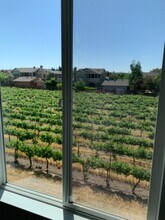 2575 Kellogg Loop in Livermore, CA - Building Photo - Building Photo