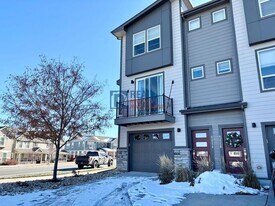 4255 Cyan Cir in Castle Rock, CO - Building Photo
