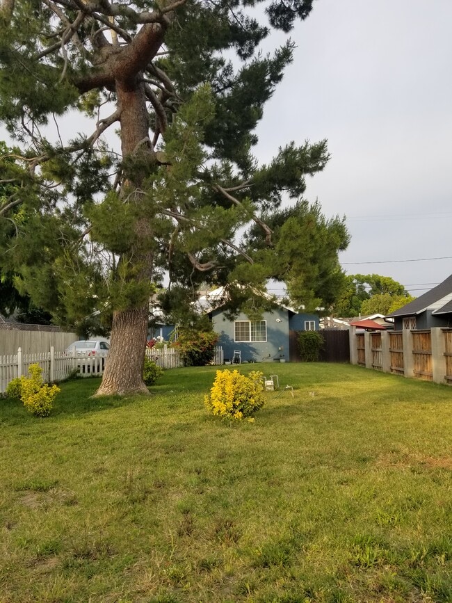 1100 N Maple St, Unit Mother-in-law suite
