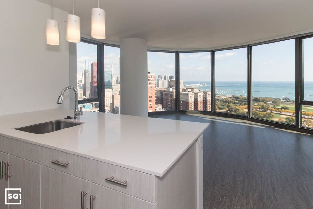 1133 S State St-Unit -2830 in Chicago, IL - Foto de edificio