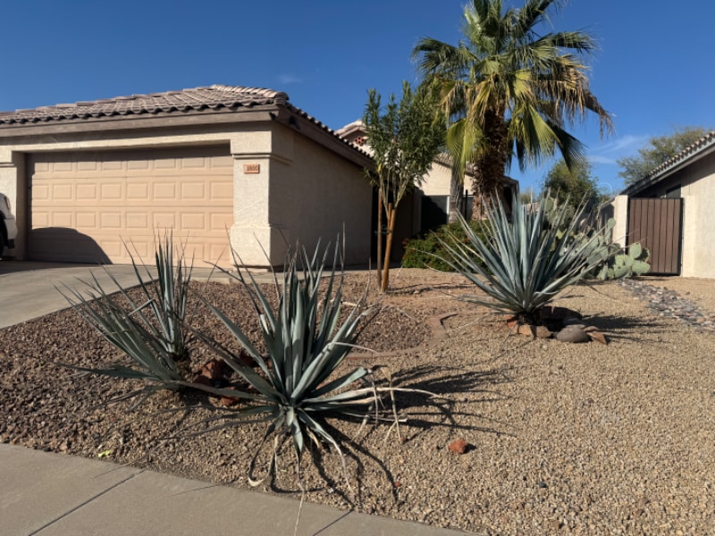 1800 E Countrywalk Ln in Chandler, AZ - Building Photo