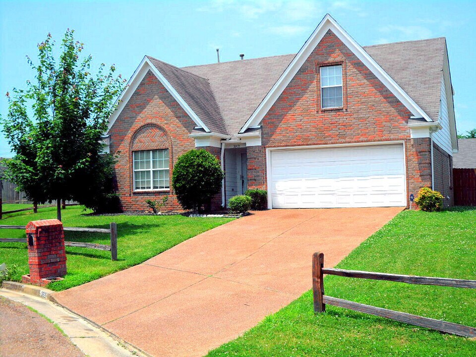 3921 Paramount Cove in Bartlett, TN - Building Photo