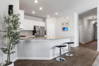 212 Apache Plum Dr in Kyle, TX - Building Photo - Building Photo