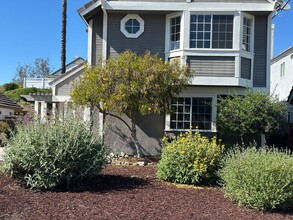 23904 Falconer Dr in Murrieta, CA - Foto de edificio - Building Photo