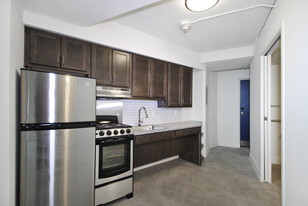 CATHEDRAL TOWER APARTMENTS in Detroit, MI - Building Photo - Building Photo