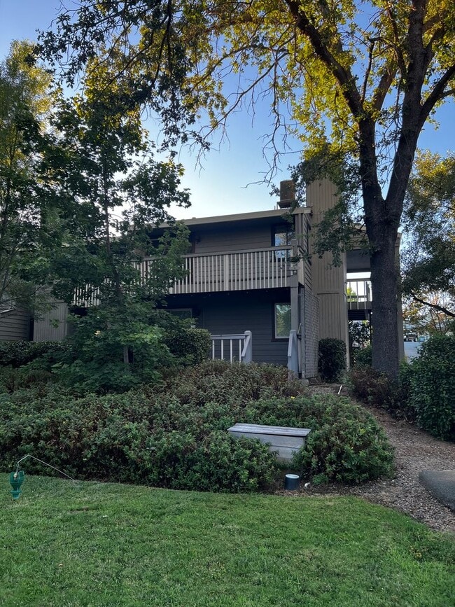 207 New York Ranch Rd in Jackson, CA - Building Photo - Building Photo