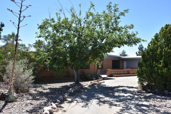 1797 Town and Country Dr in Sierra Vista, AZ - Foto de edificio - Building Photo