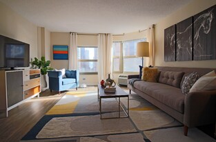 16 W Chestnut St in Chicago, IL - Building Photo