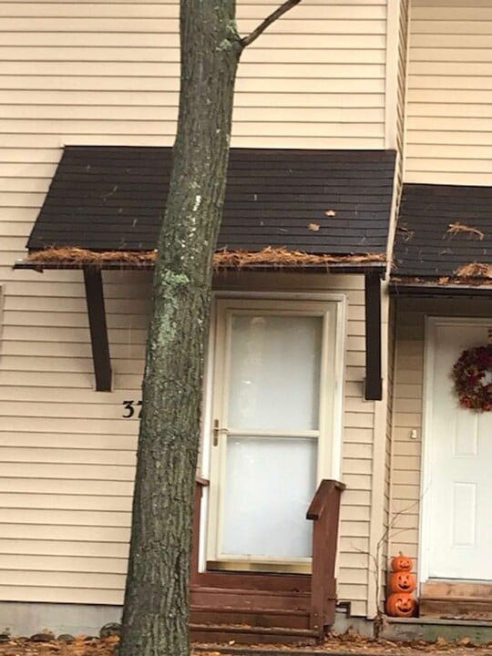 3765 Emily Ln in Traverse City, MI - Building Photo