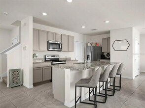 17046 Oval Rum Dr in Wimauma, FL - Building Photo - Building Photo