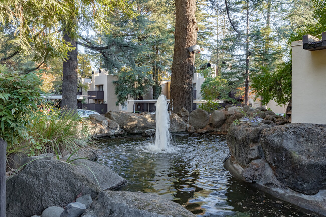 Linden Lane Apartments in Carmichael, CA - Foto de edificio - Building Photo