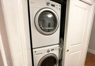 800 Parker St, Unit 1 in Boston, MA - Building Photo - Building Photo