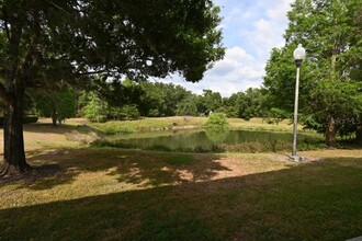 5904 Willow Ridge Dr in Zephyrhills, FL - Building Photo - Building Photo