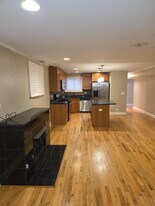 4824 S King Dr in Chicago, IL - Building Photo